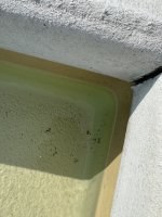 IMG_2539.jpeg