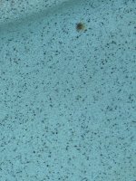 IMG_0584.jpeg IMG_0584.jpeg