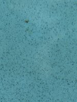 IMG_0582.jpeg IMG_0582.jpeg