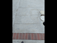 IMG_0750.png