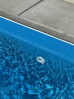IMG_9181.jpeg