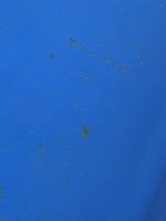 IMG_6237.jpg