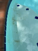 IMG_1742.JPEG