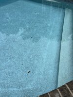 IMG_1274.jpeg