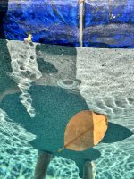 IMG_6431.jpeg
