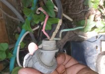 Wiring.jpg