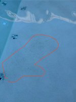 IMG_4611.jpeg