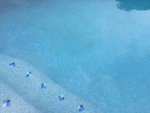 IMG_4586.jpg IMG_4586.jpg