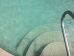 IMG_1558.jpg