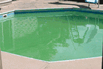 pool5120.gif