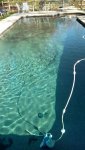 pool clear.jpg pool clear.jpg