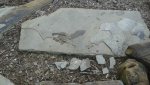 20160512_182413.jpg 20160512_182413.jpg