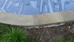 20160512_183831.jpg 20160512_183831.jpg