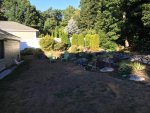 backyard 3.jpg