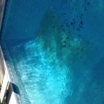 IMG_0578.jpg