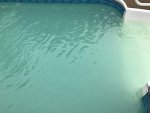 IMG_4104.JPG.jpg