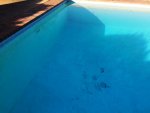 IMG_0083.jpg IMG_0083.jpg