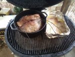 IMG_20170303_135719.jpg