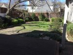 backyard.jpg backyard.jpg