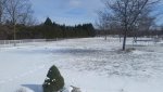 20170315_161944.jpg