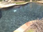 IMG_20170318_145020.jpg