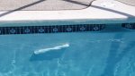 pool1.jpg pool1.jpg