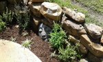 20170409_140527.jpg