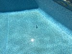 IMG_0799.jpg