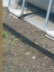 20170601_130908.jpg 20170601_130908.jpg