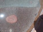 Top step after pouring muriatic acid.jpg