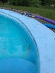 IMG_1982.jpg