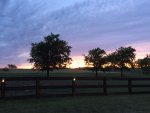 IMG_2496.jpg