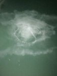 IMG_3666.jpg