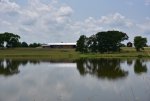 pond_IMG_1331.jpeg
