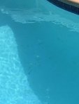 IMG_0033.jpg