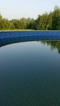 Green pool 2017-07-19.jpg