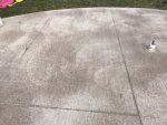 IMG_1307.jpeg IMG_1307.jpeg