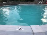 IMG_1584.jpg