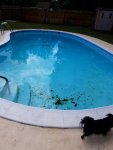 20170827_125831.jpg 20170827_125831.jpg