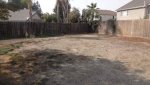 DSC01537.jpg