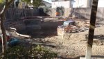 DSC01596.jpg