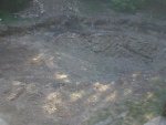 2010-07-26 17.31.52.jpg
