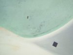 chlorine pool stains 2018-03-19 003.jpg
