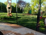 yard small.jpg yard small.jpg