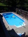 8_1_2015 pool.jpg