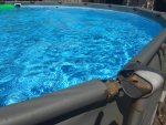 IMG_6495.jpg