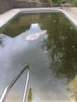 4_27_2017 POOL.jpg