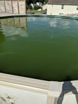 IMG_20180522_165138.jpg