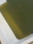 20180527_185606.jpg