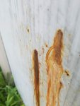 20180612_091945.jpg
